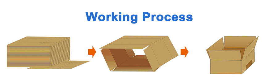 Carton Folding Erector Machine x2