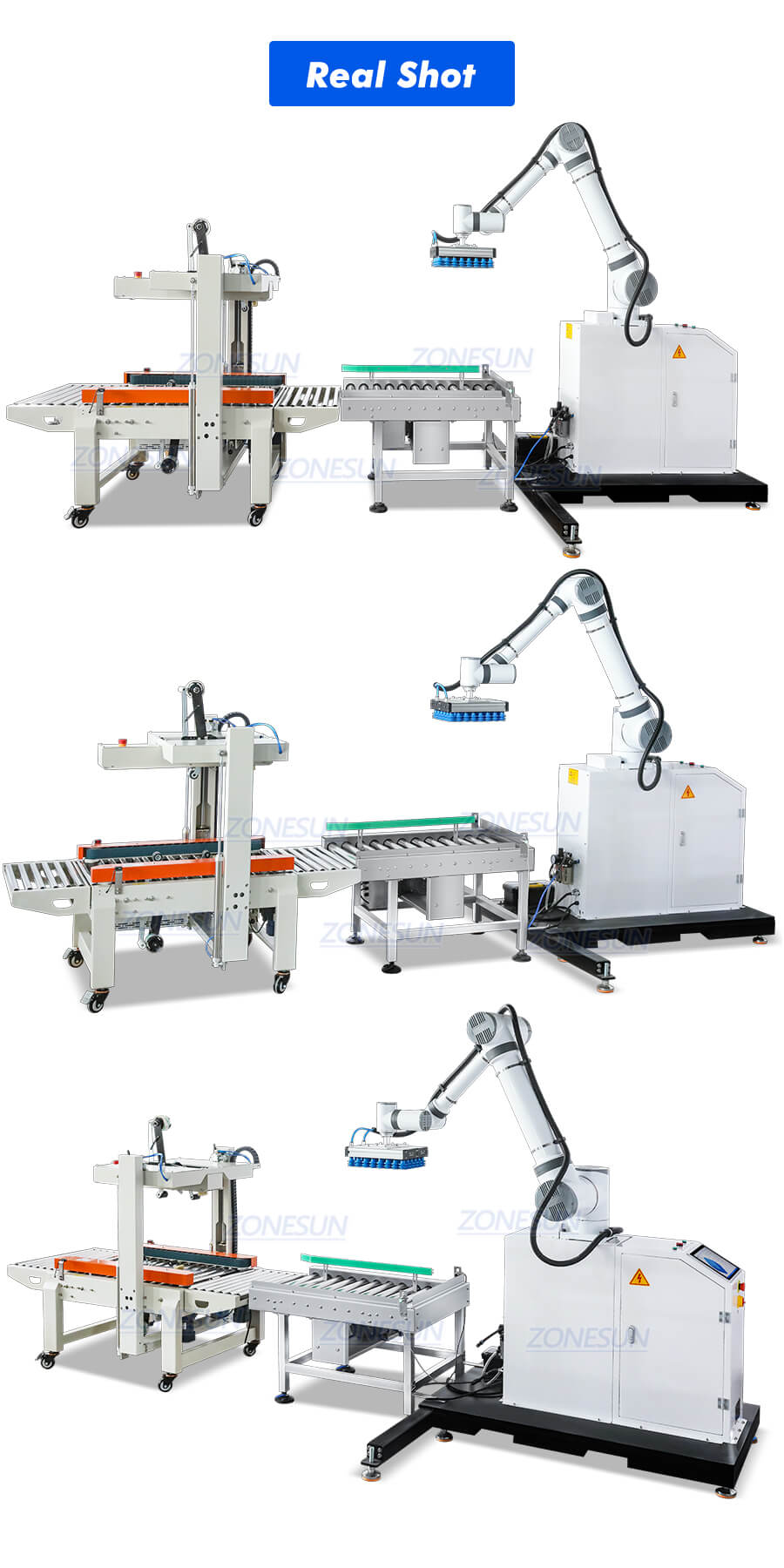 Carton Palletizing Production Line X6